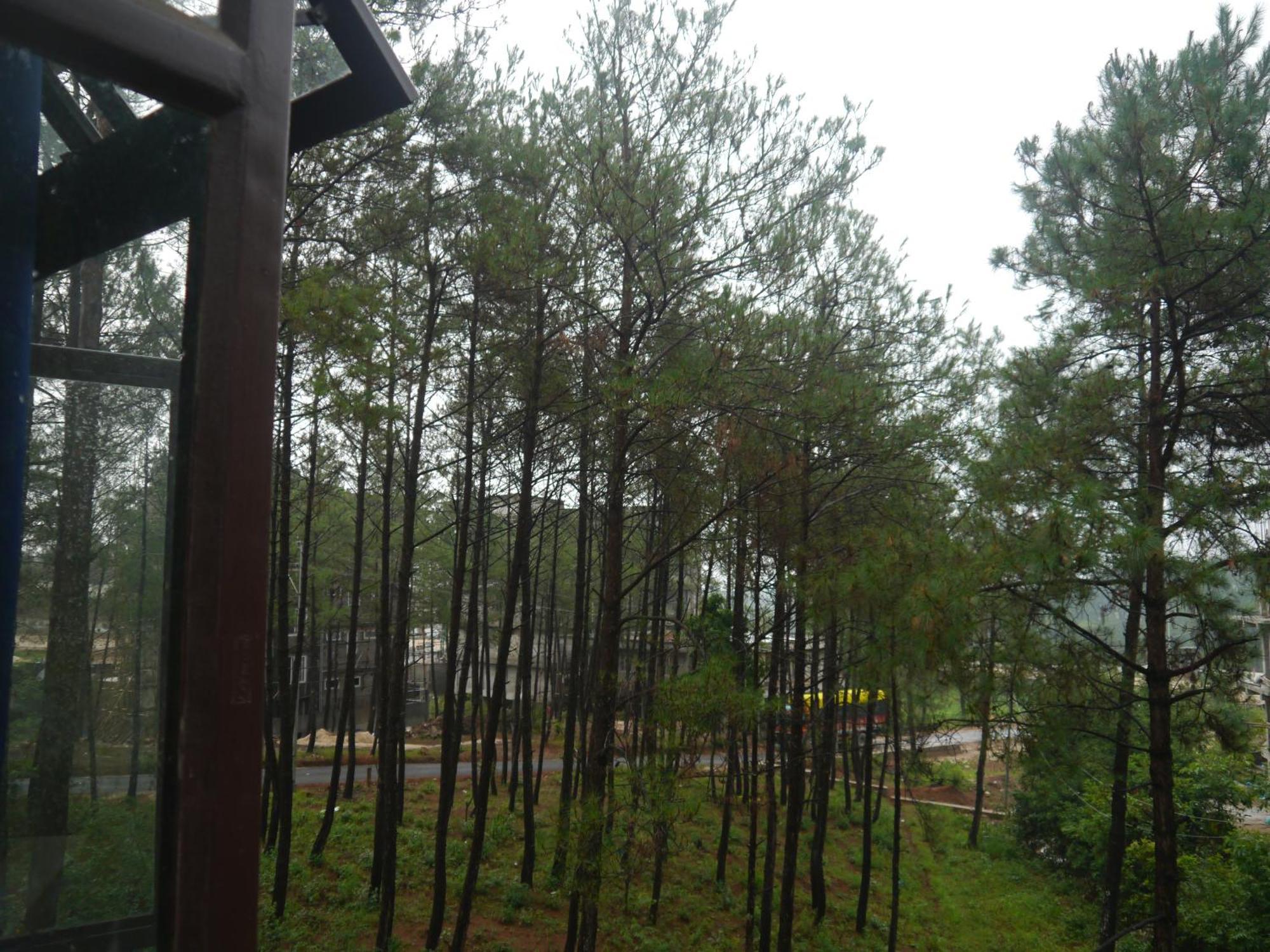 Xtsy Travellers Hostel Shillong Exterior foto